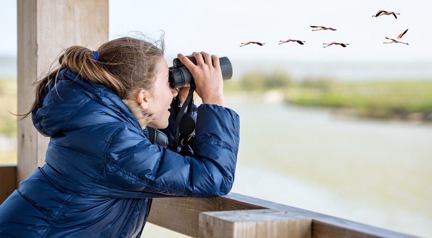 Birds watching in Sri Lanka